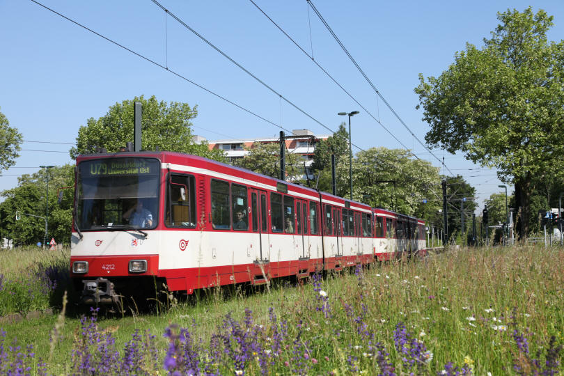 casino duisburg öffnungszeiten casino duisburg öffnungszeiten